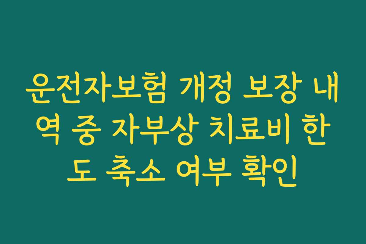 운전자보험 개정 보장 내역 중 자부상 치료비 한도 축소 여부 확인