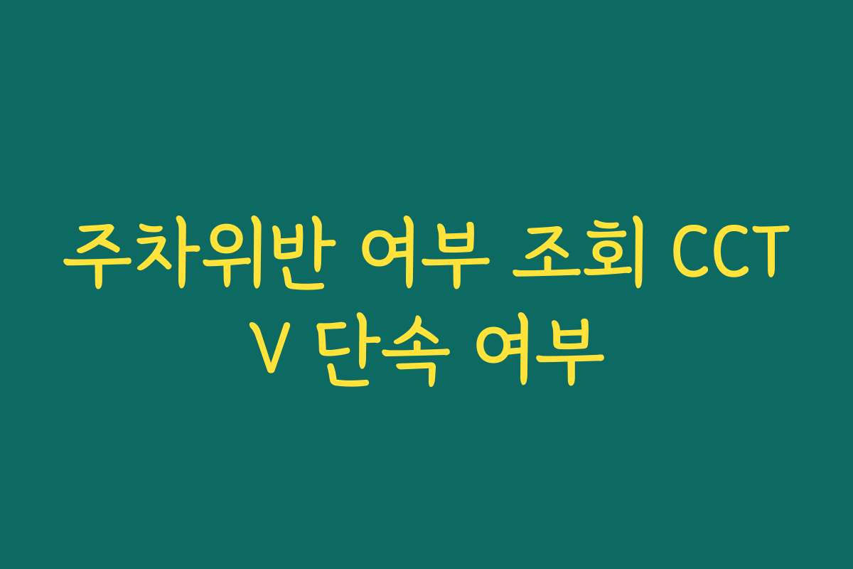 주차위반 여부 조회 CCTV 단속 여부