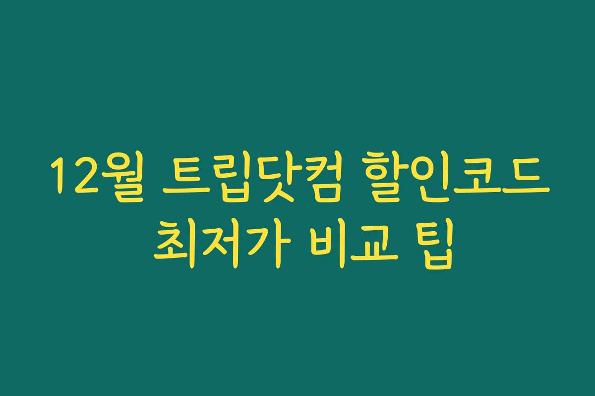 12월 트립닷컴 할인코드 최저가 비교 팁
