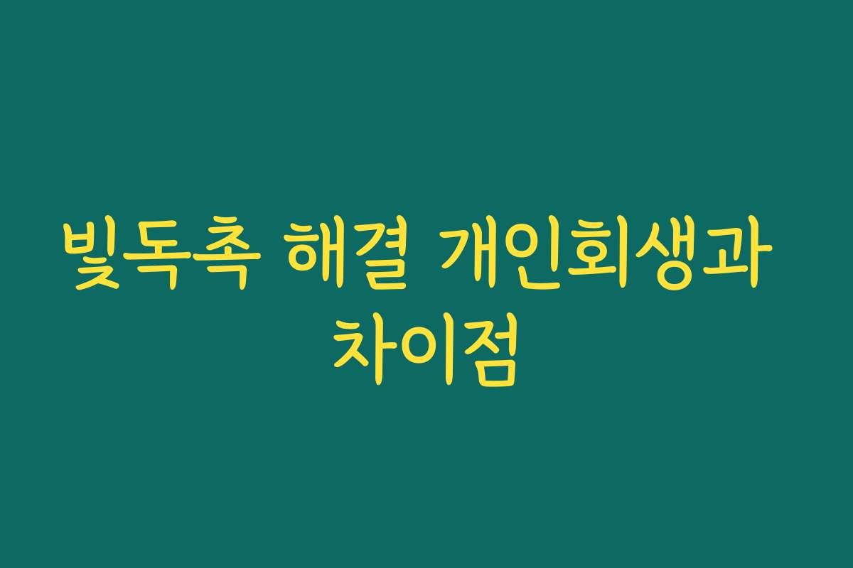 빛독촉 해결 개인회생과 차이점