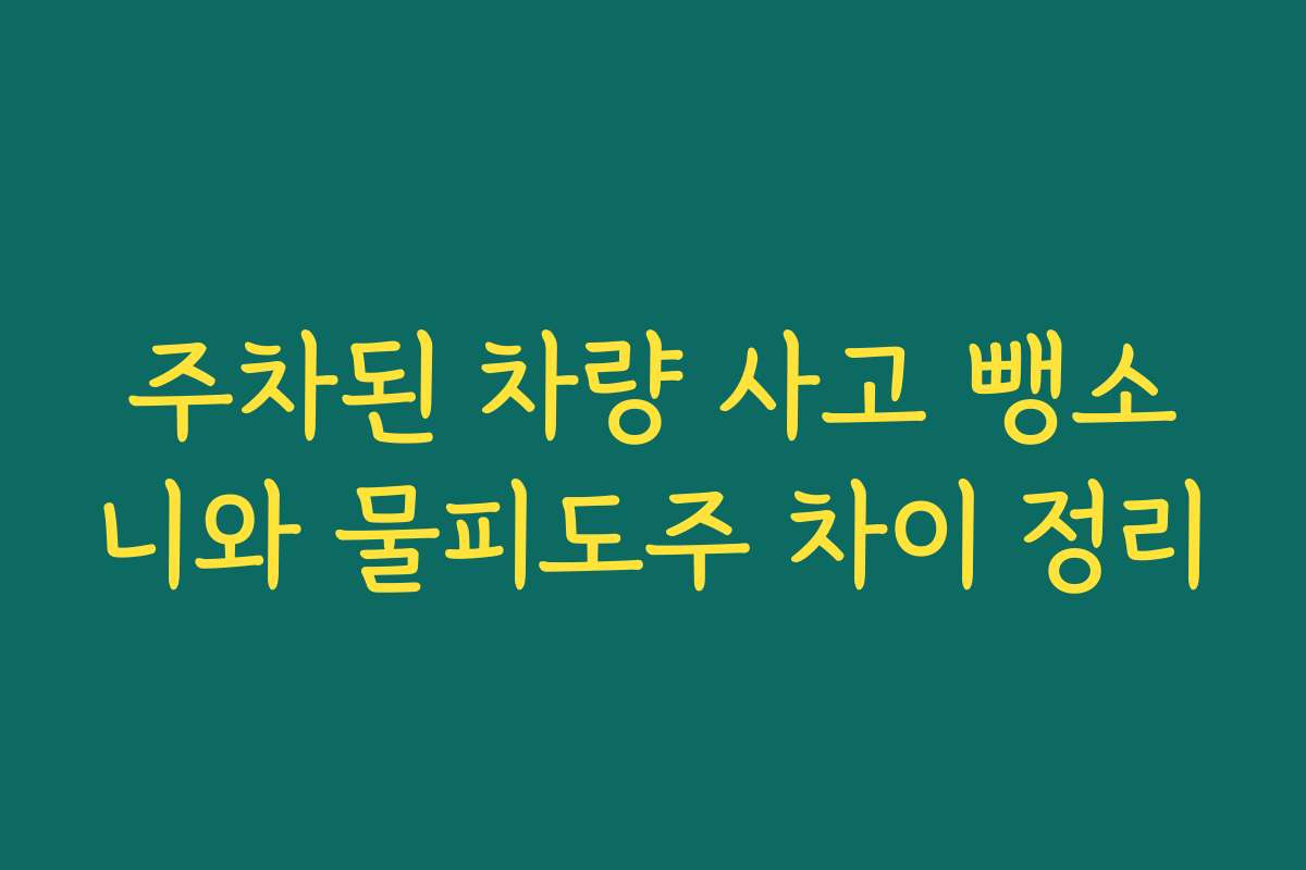 주차된 차량 사고 뺑소니와 물피도주 차이 정리