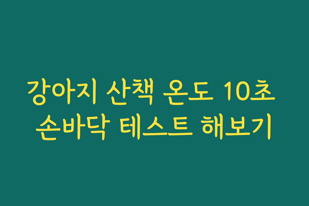 강아지 산책 온도 10초 손바닥 테스트 해보기