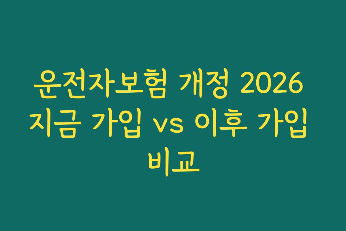 운전자보험 개정 2026 지금 가입 vs 이후 가입 비교