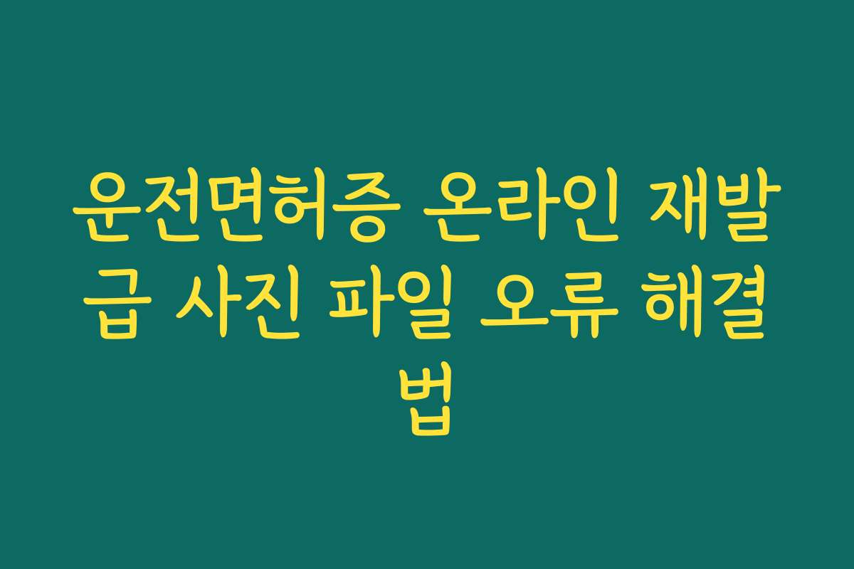 운전면허증 온라인 재발급 사진 파일 오류 해결법