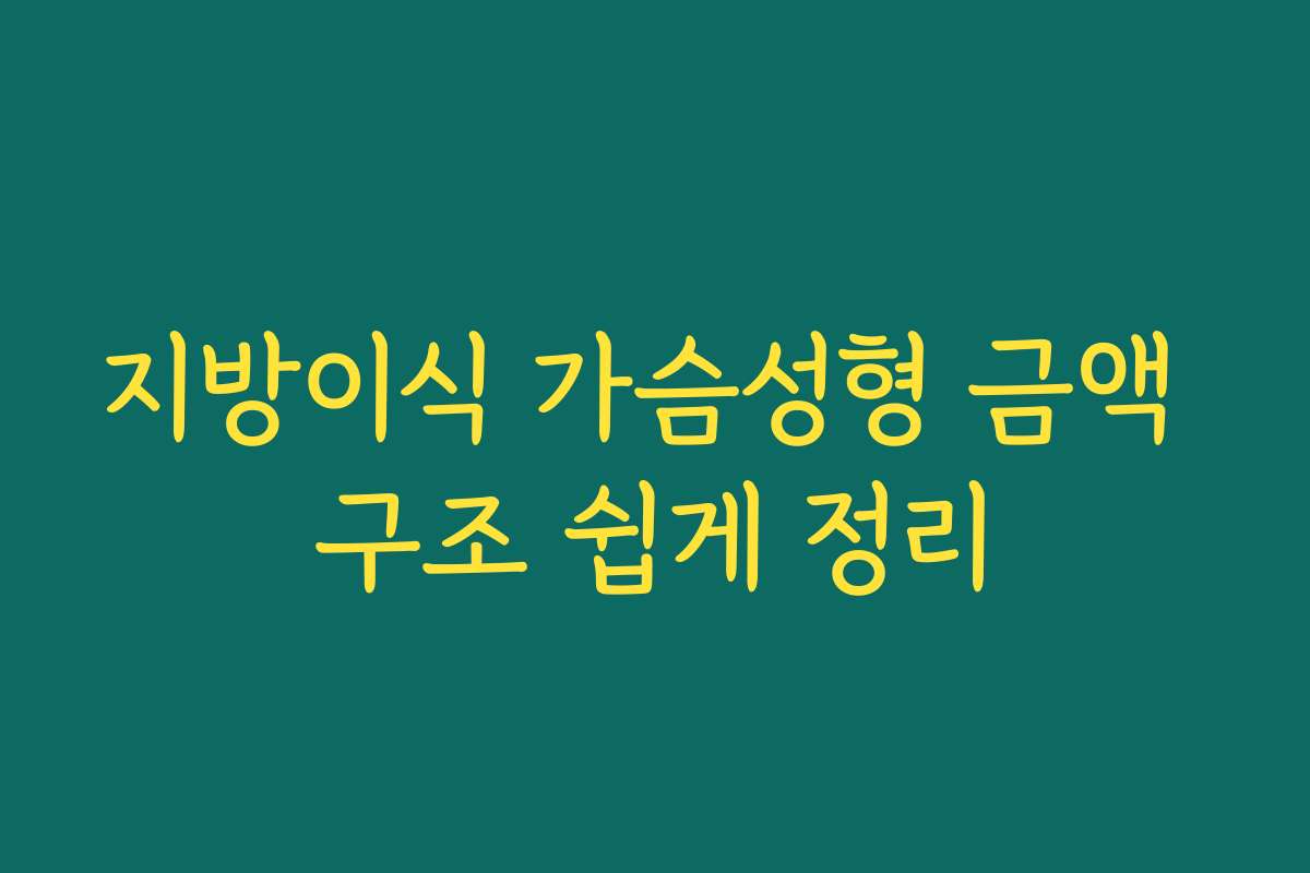 지방이식 가슴성형 금액 구조 쉽게 정리