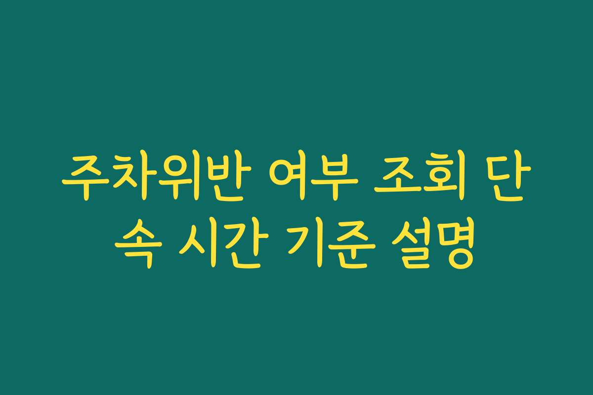 주차위반 여부 조회 단속 시간 기준 설명