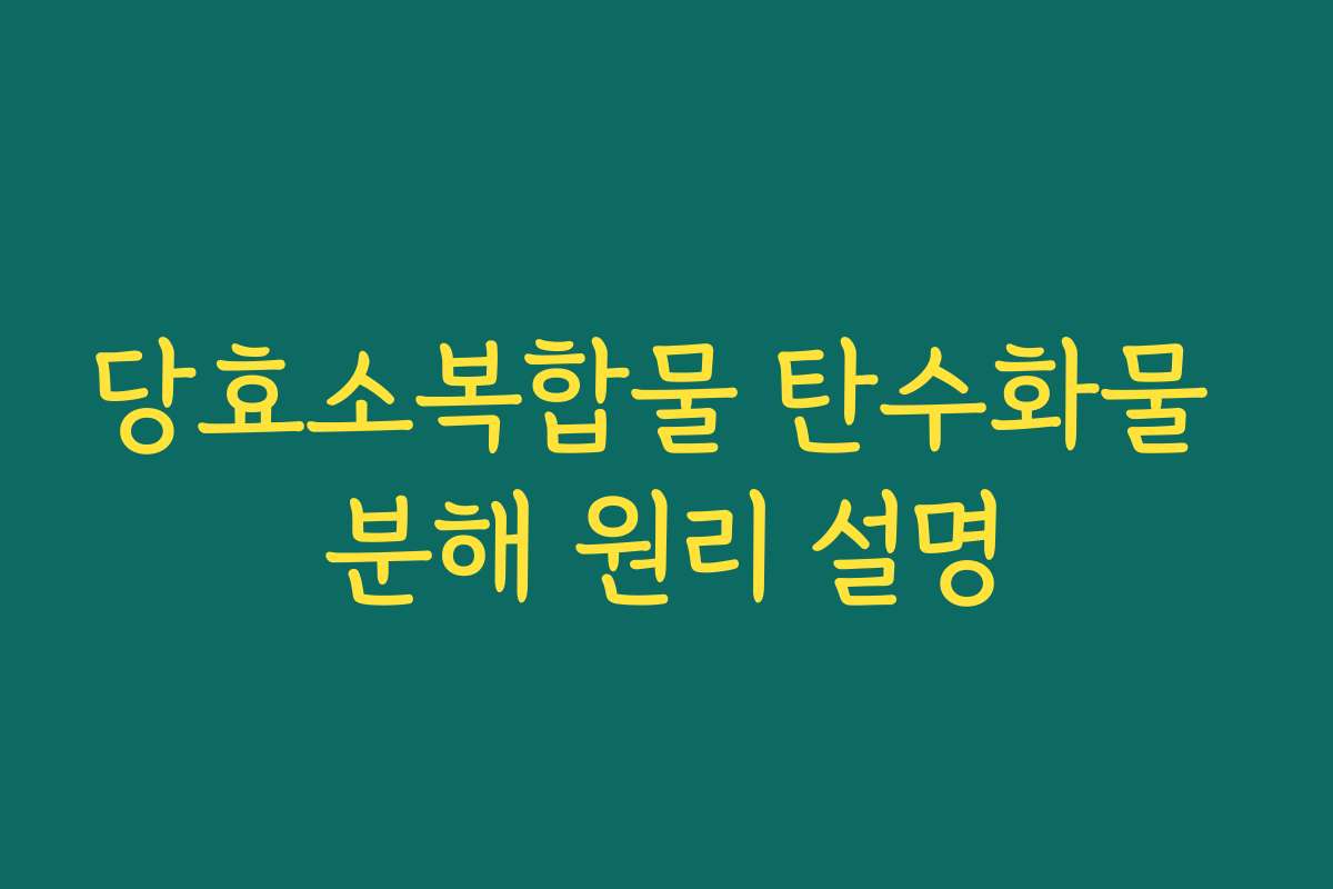 당효소복합물 탄수화물 분해 원리 설명