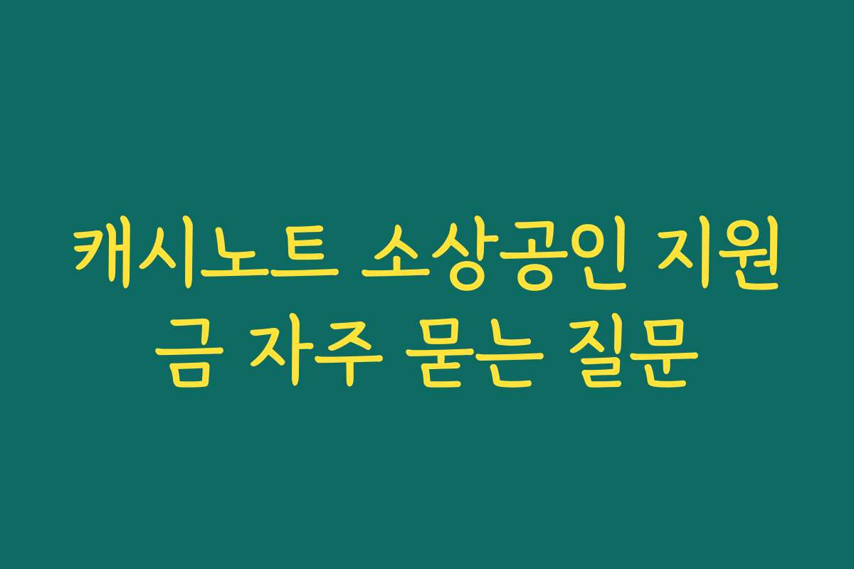 캐시노트 소상공인 지원금 자주 묻는 질문