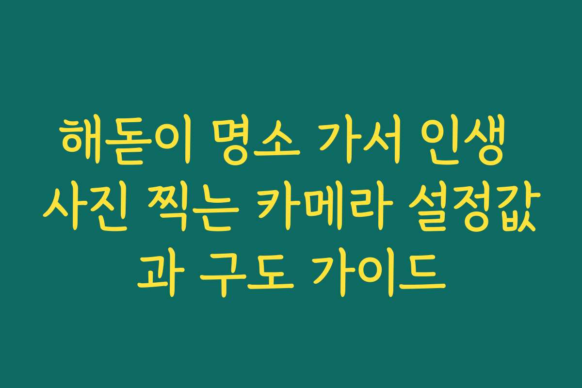 해돋이 명소 가서 인생 사진 찍는 카메라 설정값과 구도 가이드
