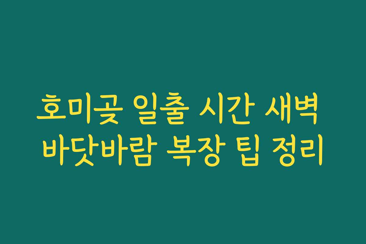 호미곶 일출 시간 새벽 바닷바람 복장 팁 정리