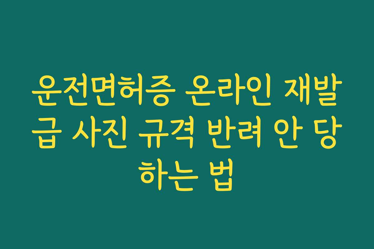 운전면허증 온라인 재발급 사진 규격 반려 안 당하는 법