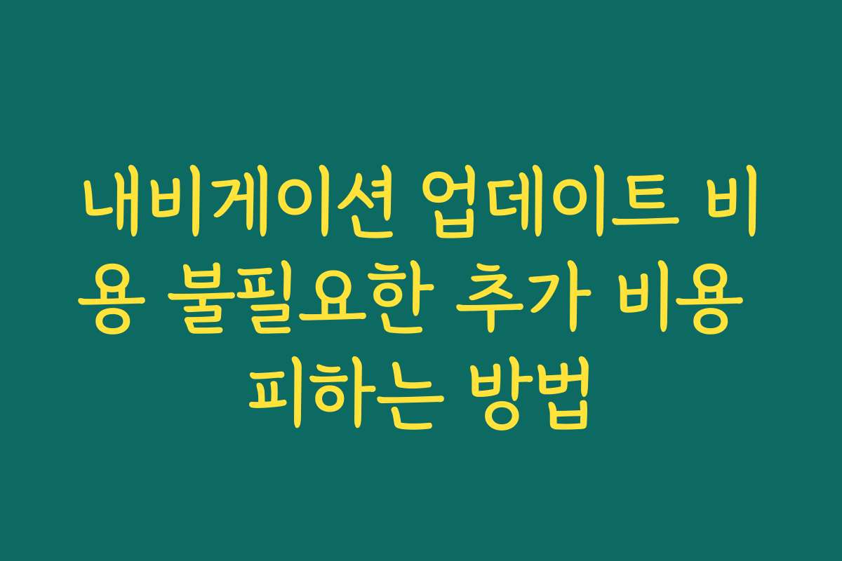 내비게이션 업데이트 비용 불필요한 추가 비용 피하는 방법