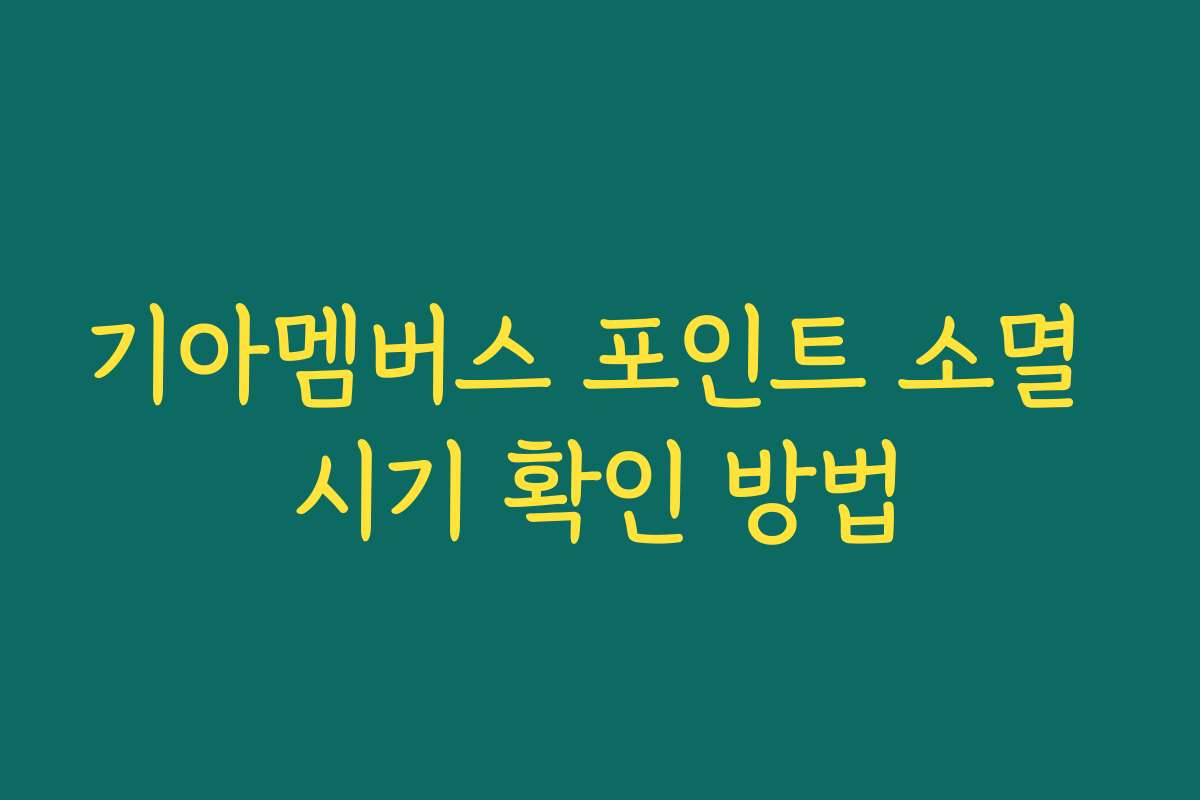 기아멤버스 포인트 소멸 시기 확인 방법