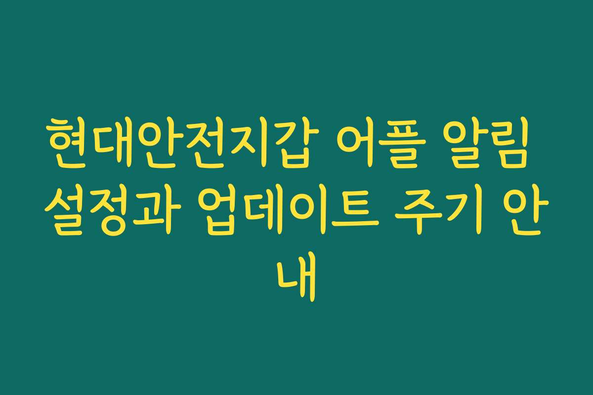 현대안전지갑 어플 알림 설정과 업데이트 주기 안내