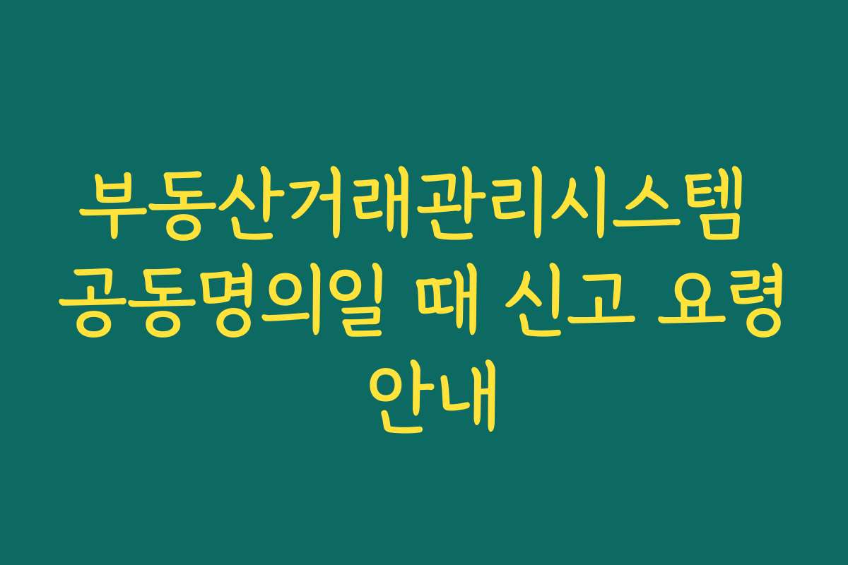 부동산거래관리시스템 공동명의일 때 신고 요령 안내