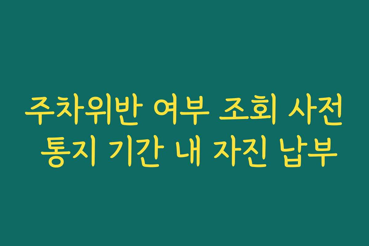 주차위반 여부 조회 사전 통지 기간 내 자진 납부