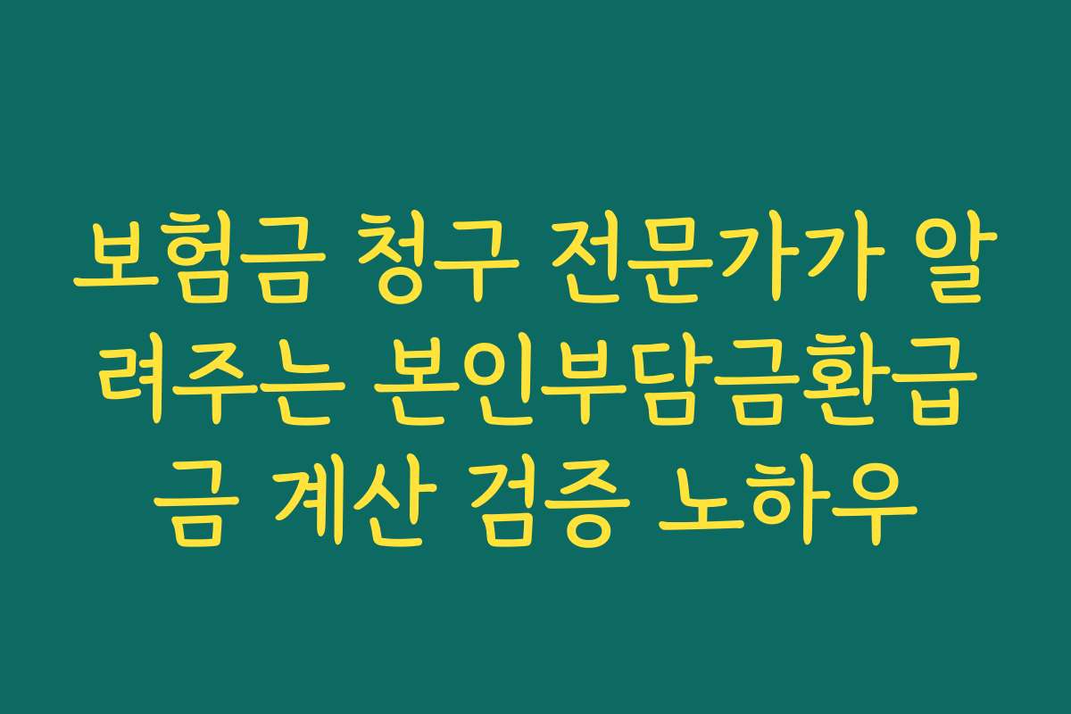 보험금 청구 전문가가 알려주는 본인부담금환급금 계산 검증 노하우
