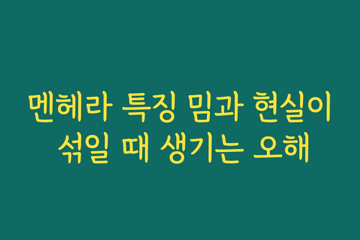 멘헤라 특징 밈과 현실이 섞일 때 생기는 오해
