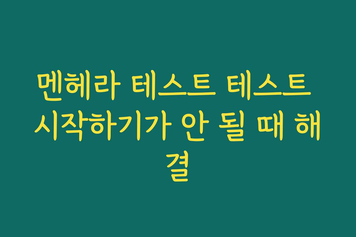멘헤라 테스트 테스트 시작하기가 안 될 때 해결