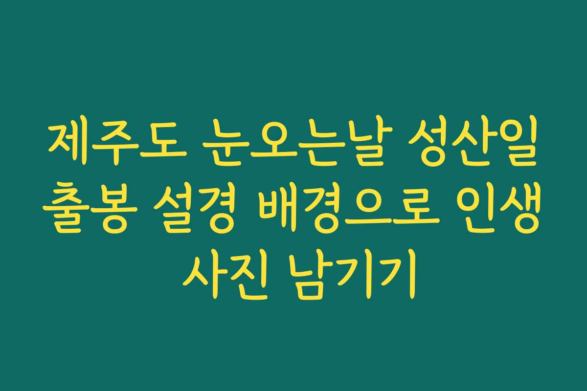 제주도 눈오는날 성산일출봉 설경 배경으로 인생 사진 남기기