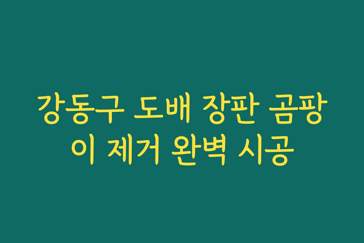 강동구 도배 장판 곰팡이 제거 완벽 시공