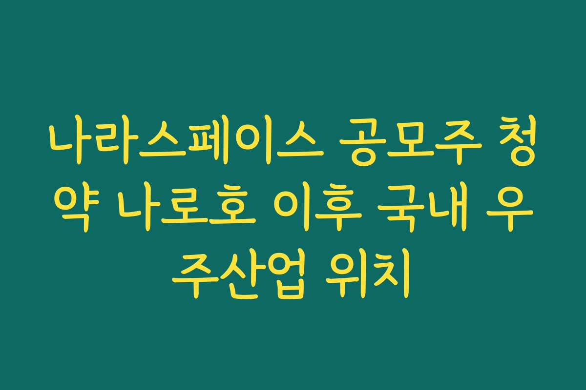 나라스페이스 공모주 청약 나로호 이후 국내 우주산업 위치