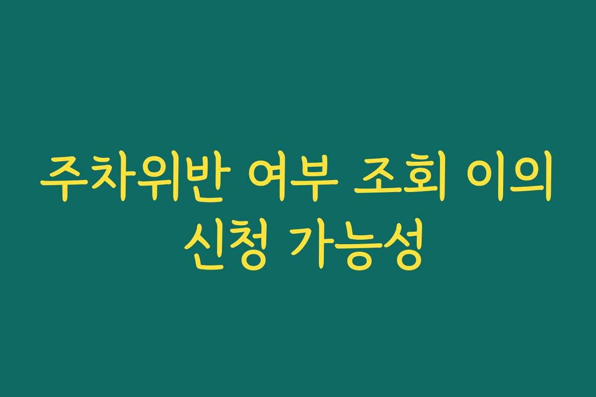 주차위반 여부 조회 이의 신청 가능성