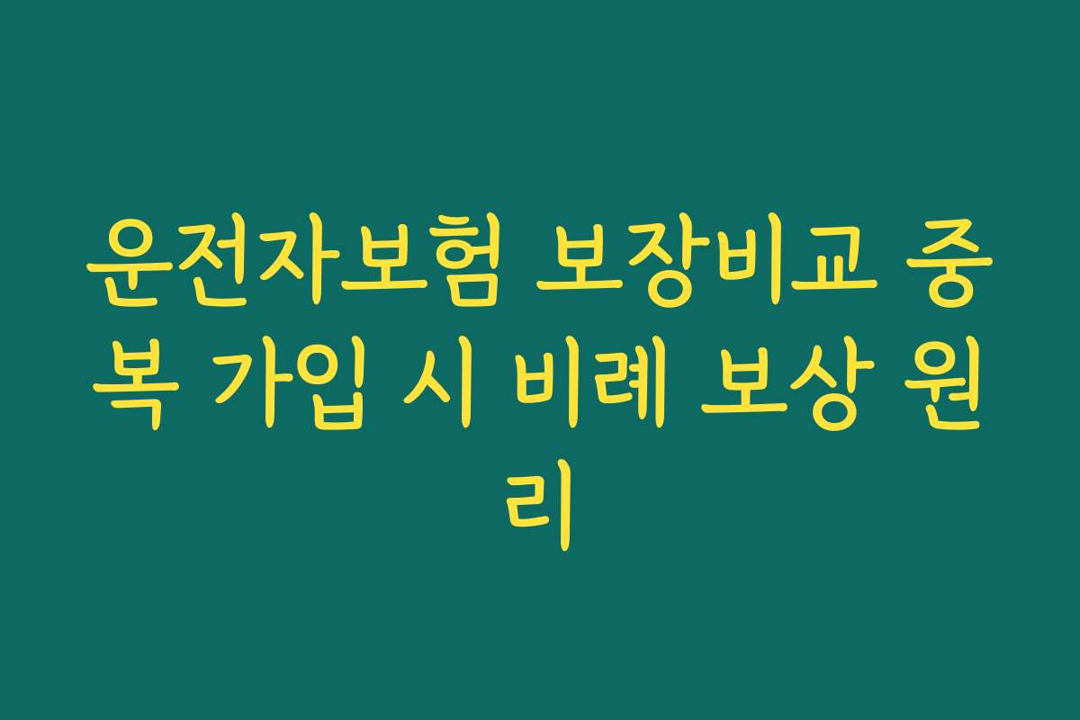 운전자보험 보장비교 중복 가입 시 비례 보상 원리