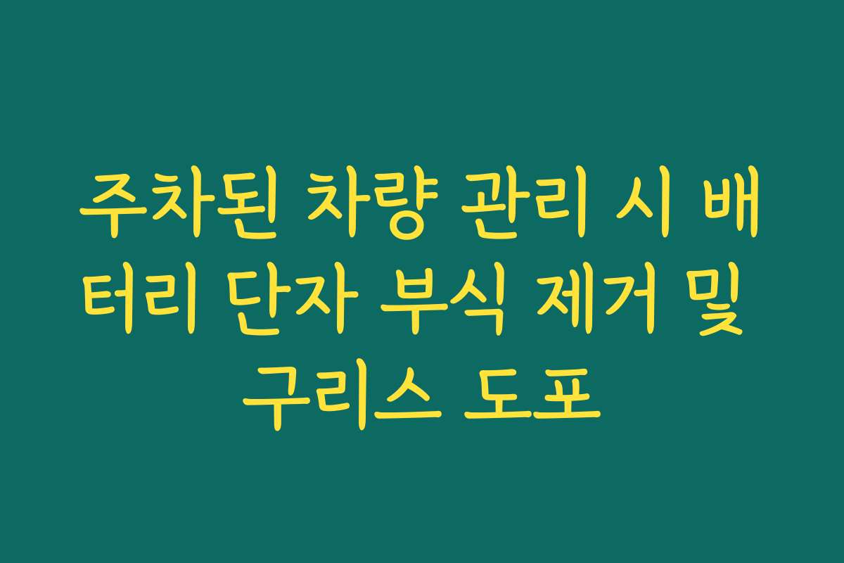 주차된 차량 관리 시 배터리 단자 부식 제거 및 구리스 도포