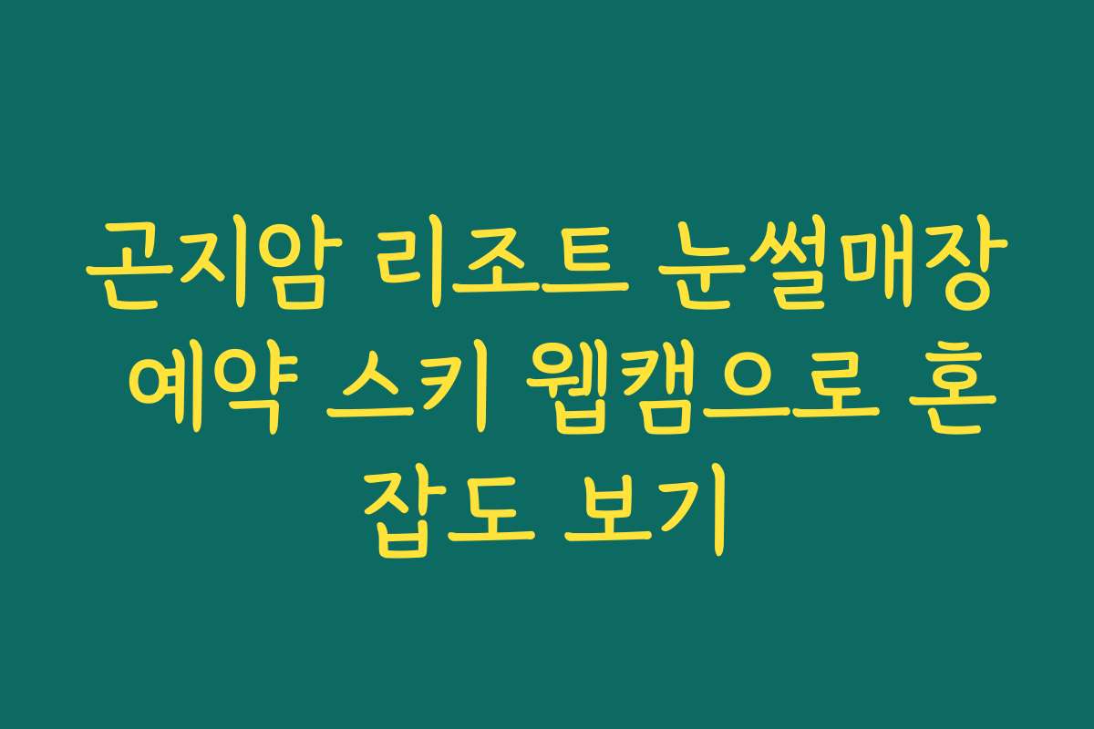 곤지암 리조트 눈썰매장 예약 스키 웹캠으로 혼잡도 보기