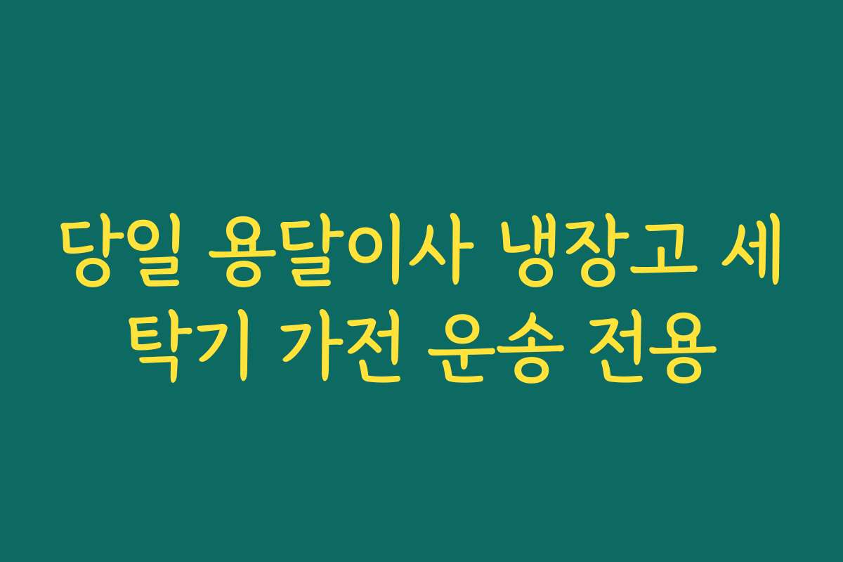 당일 용달이사 냉장고 세탁기 가전 운송 전용