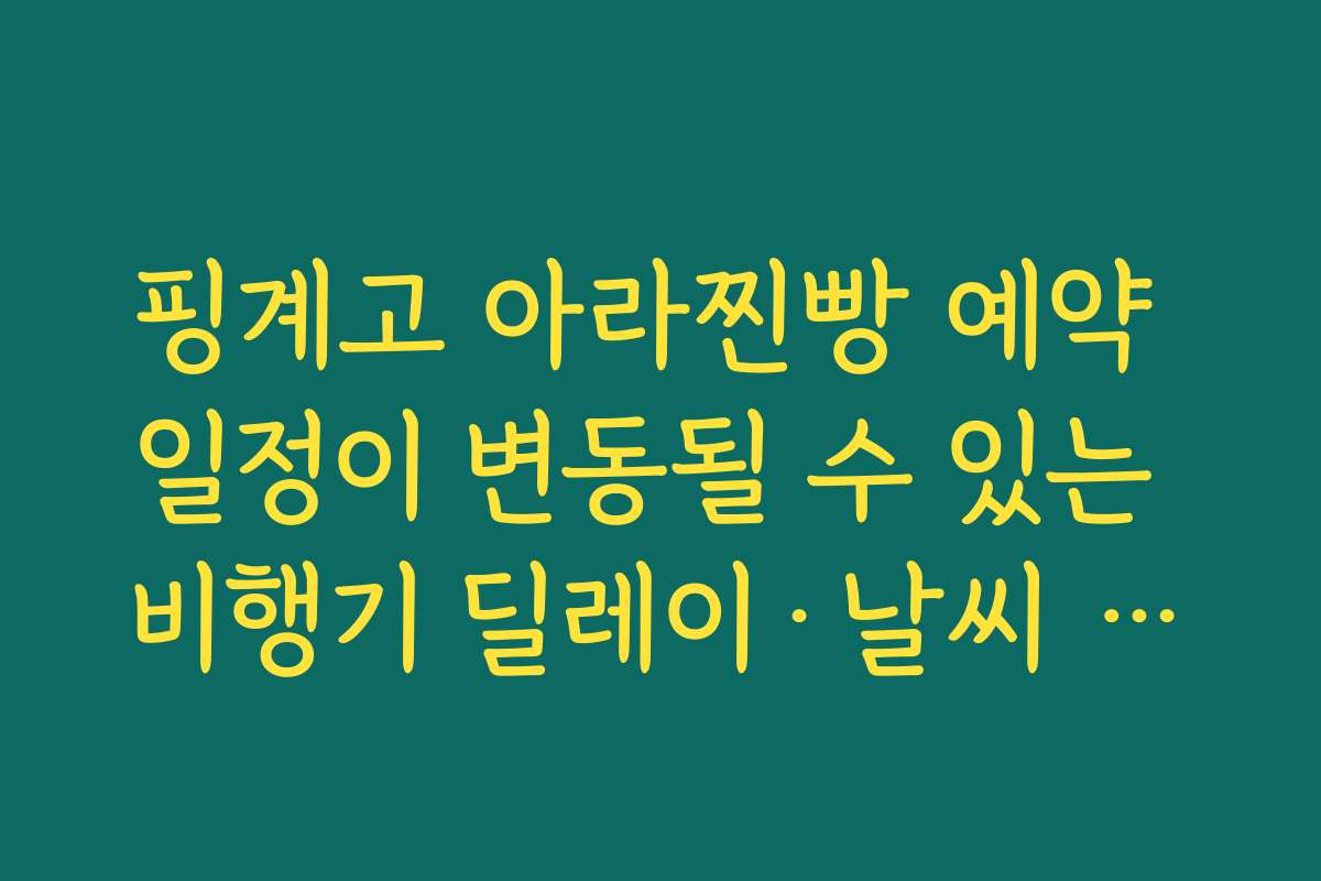 핑계고 아라찐빵 예약 일정이 변동될 수 있는 비행기 딜레이·날씨 변수 고려하기