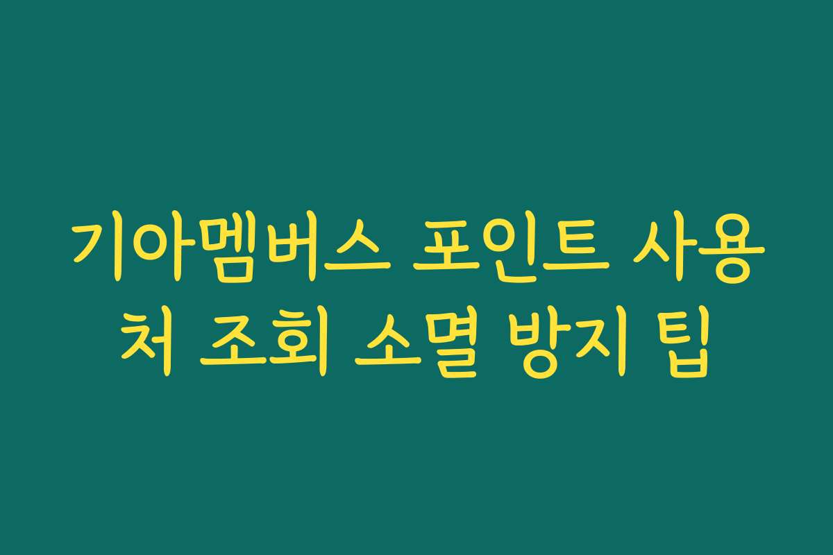 기아멤버스 포인트 사용처 조회 소멸 방지 팁