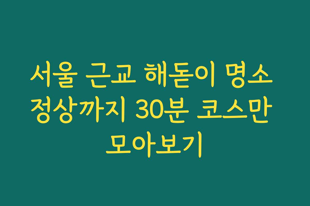 서울 근교 해돋이 명소 정상까지 30분 코스만 모아보기