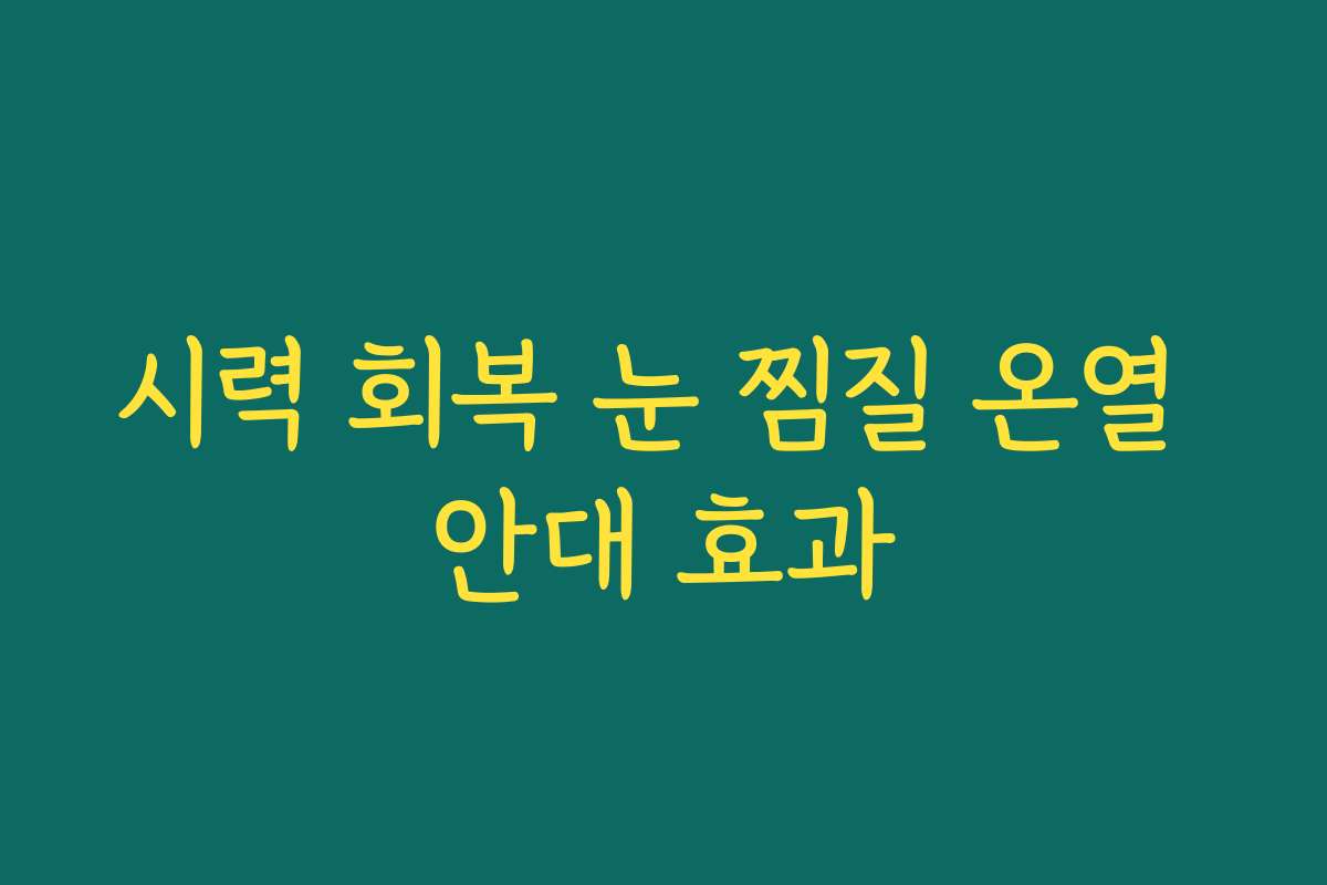 시력 회복 눈 찜질 온열 안대 효과