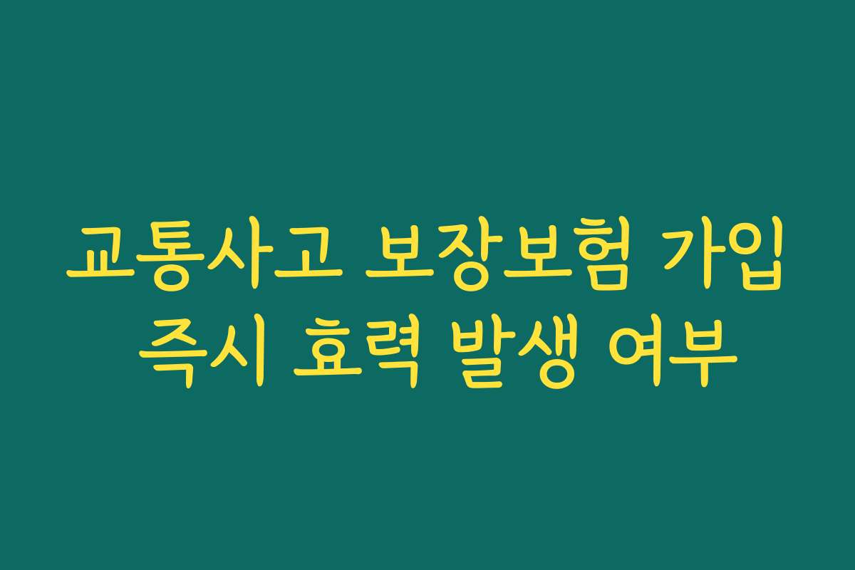 교통사고 보장보험 가입 즉시 효력 발생 여부