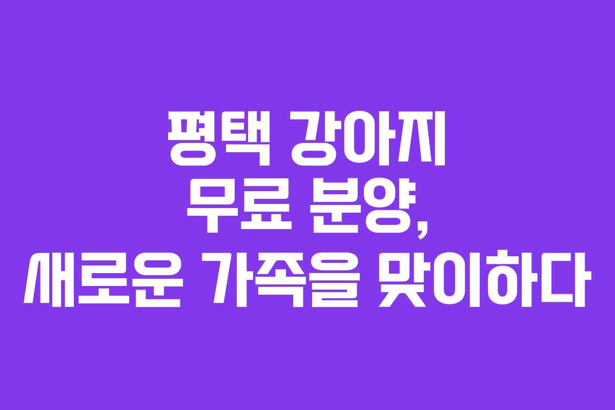 평택 강아지 무료 분양, 새로운 가족을 맞이하다