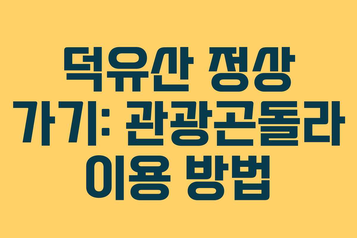 덕유산 정상 가기: 관광곤돌라 이용 방법