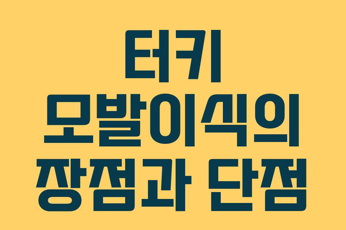터키 모발이식의 장점과 단점