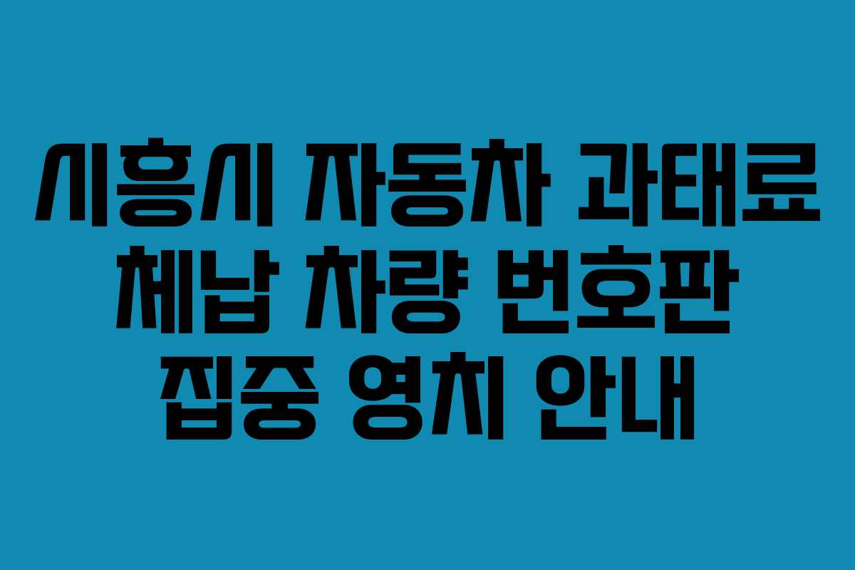 시흥시 자동차 과태료 체납 차량 번호판 집중 영치 안내
