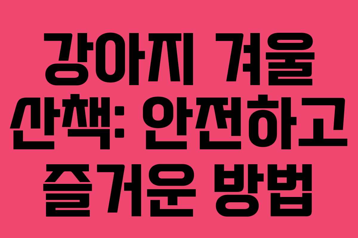 강아지 겨울 산책: 안전하고 즐거운 방법