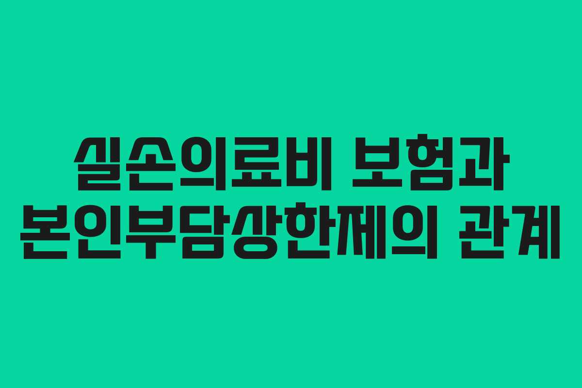실손의료비 보험과 본인부담상한제의 관계