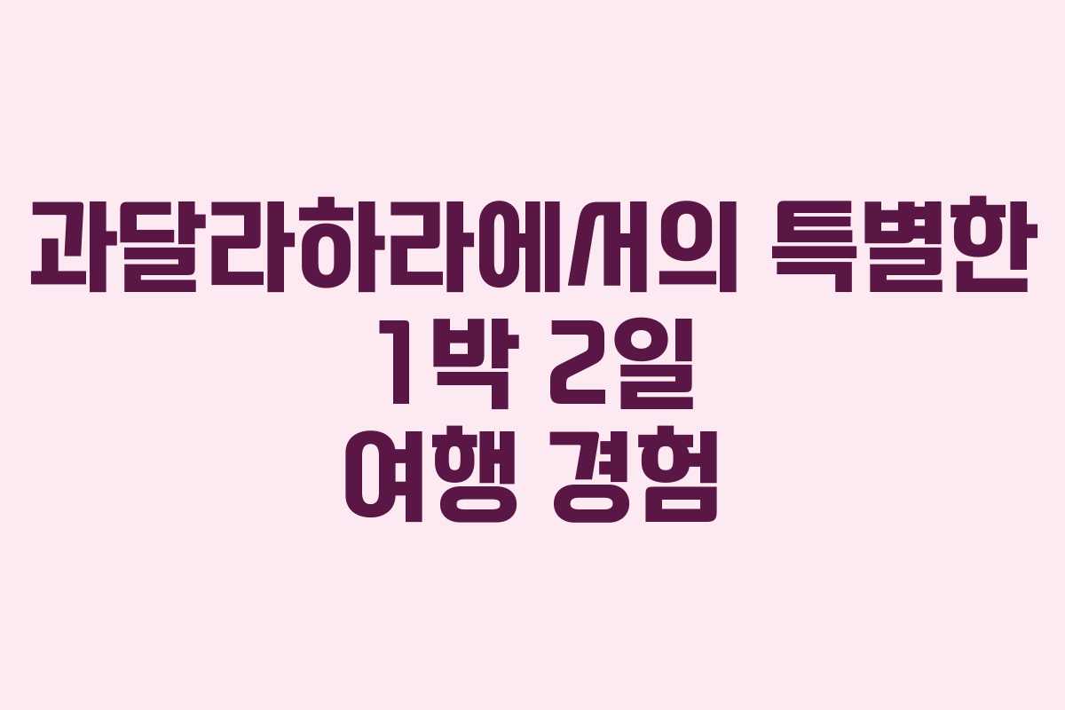 과달라하라에서의 특별한 1박 2일 여행 경험