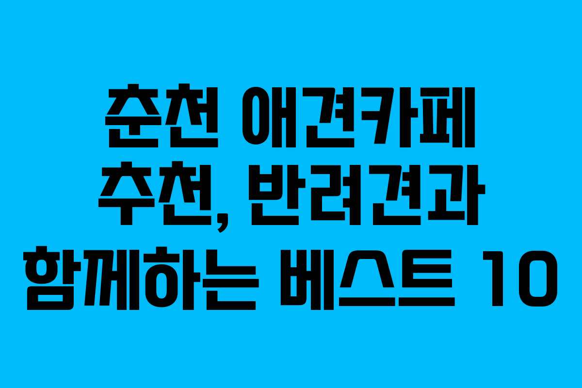 춘천 애견카페 추천, 반려견과 함께하는 베스트 10