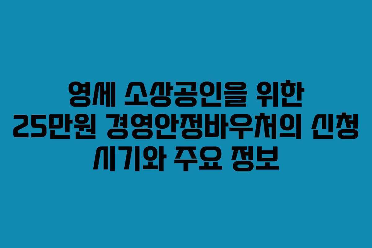 영세 소상공인을 위한 25만원 경영안정바우처의 신청 시기와 주요 정보