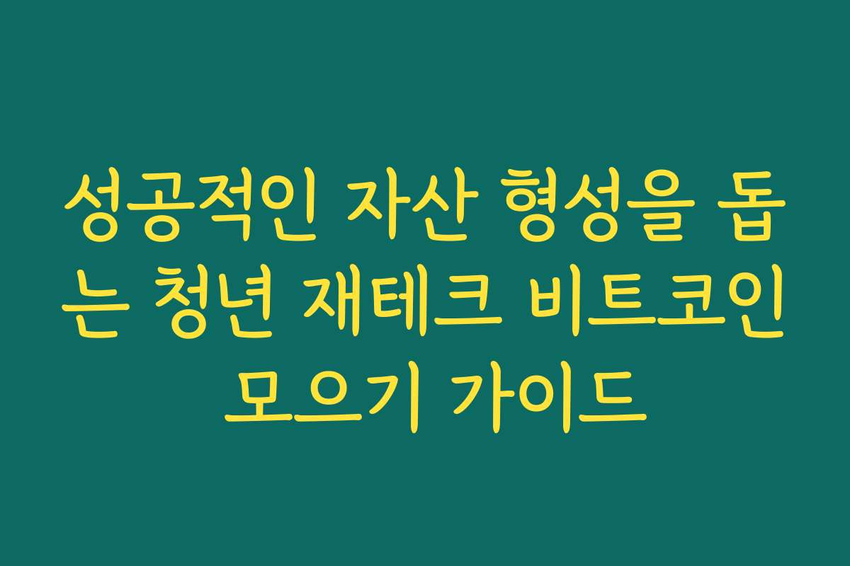 성공적인 자산 형성을 돕는 청년 재테크 비트코인 모으기 가이드