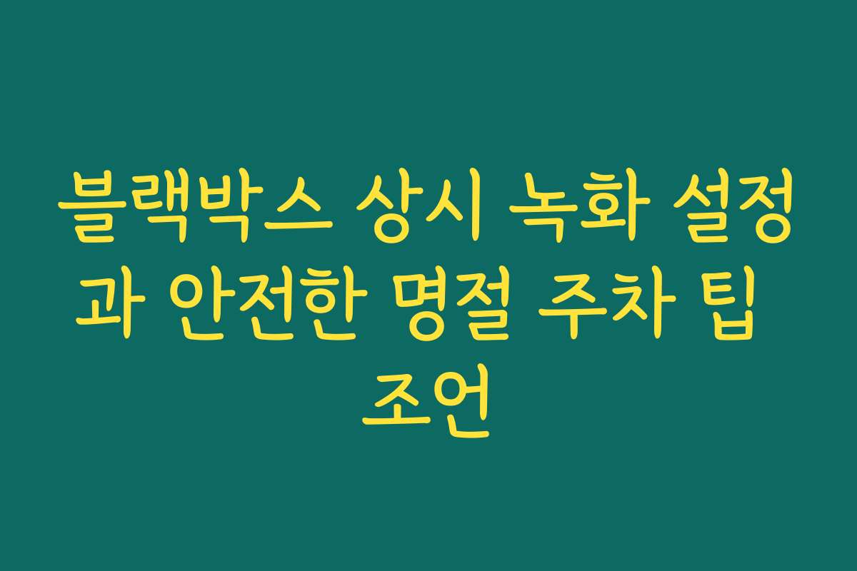 블랙박스 상시 녹화 설정과 안전한 명절 주차 팁 조언