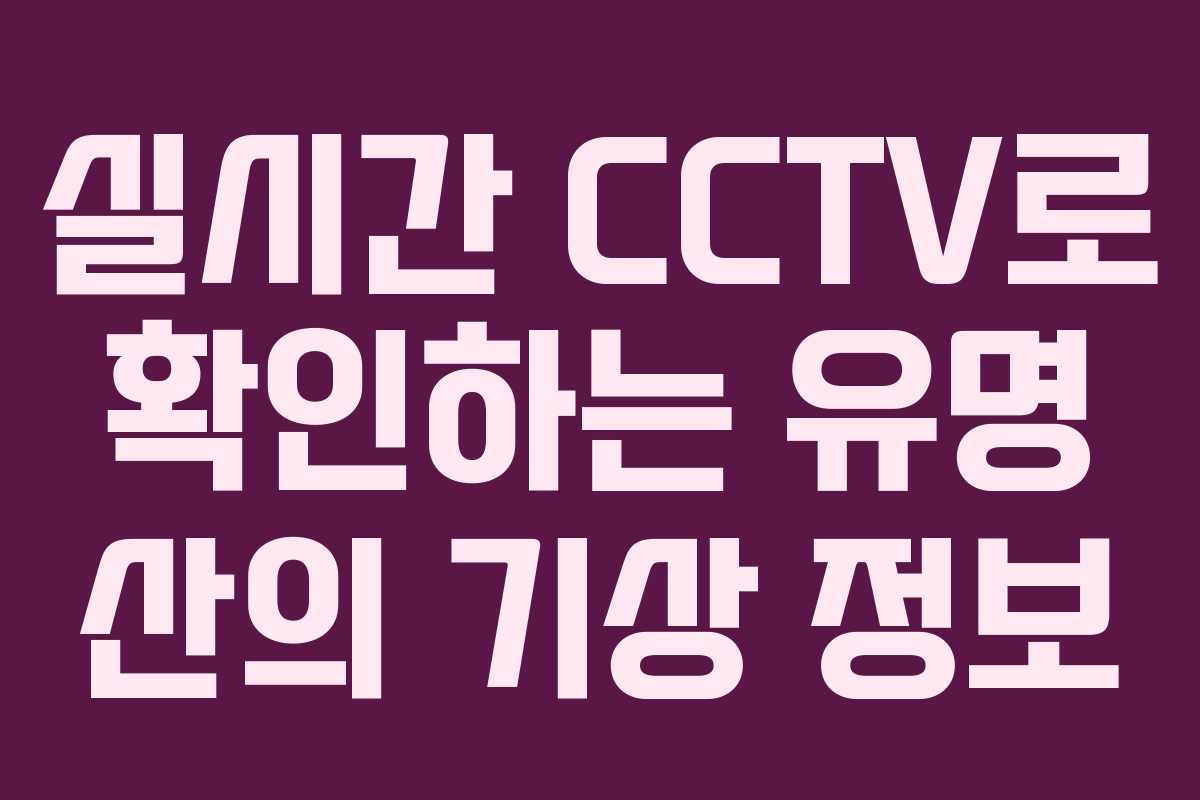 실시간 CCTV로 확인하는 유명 산의 기상 정보