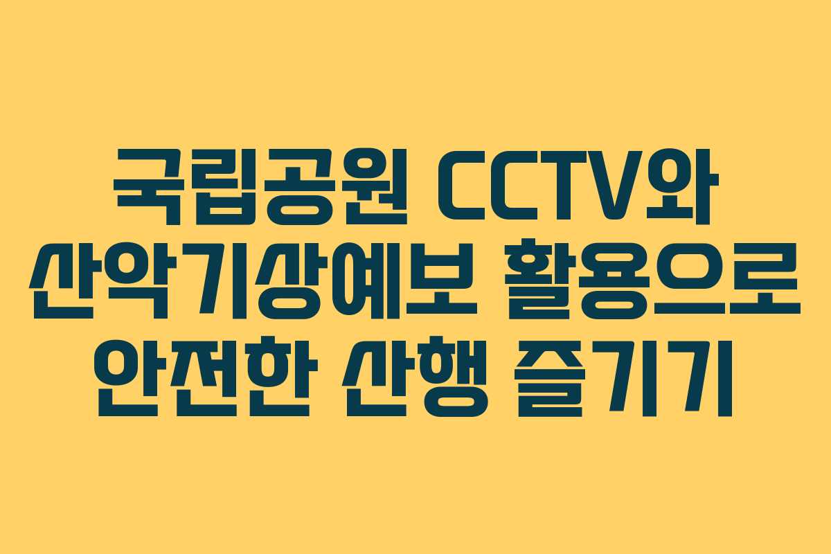국립공원 CCTV와 산악기상예보 활용으로 안전한 산행 즐기기
