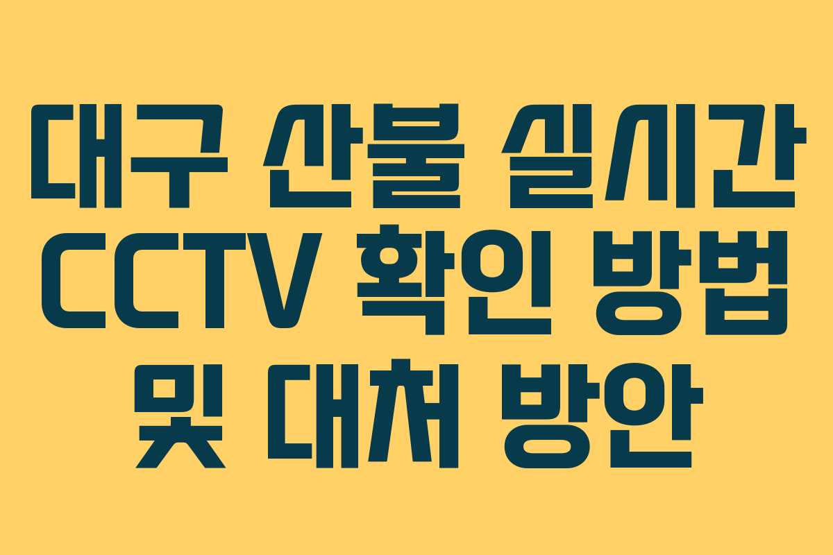 대구 산불 실시간 CCTV 확인 방법 및 대처 방안